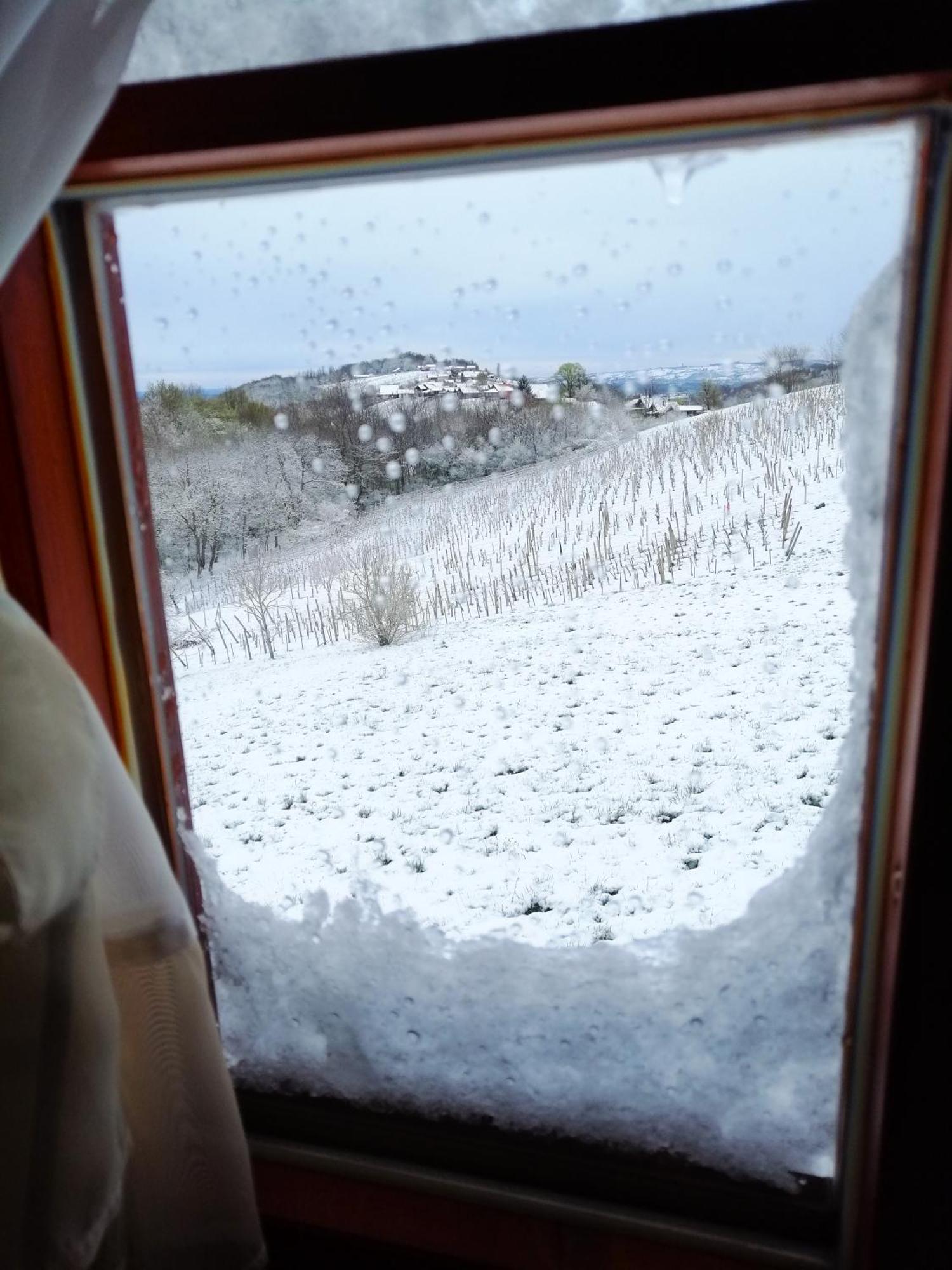 Holiday Home Vitis Selnica エクステリア 写真