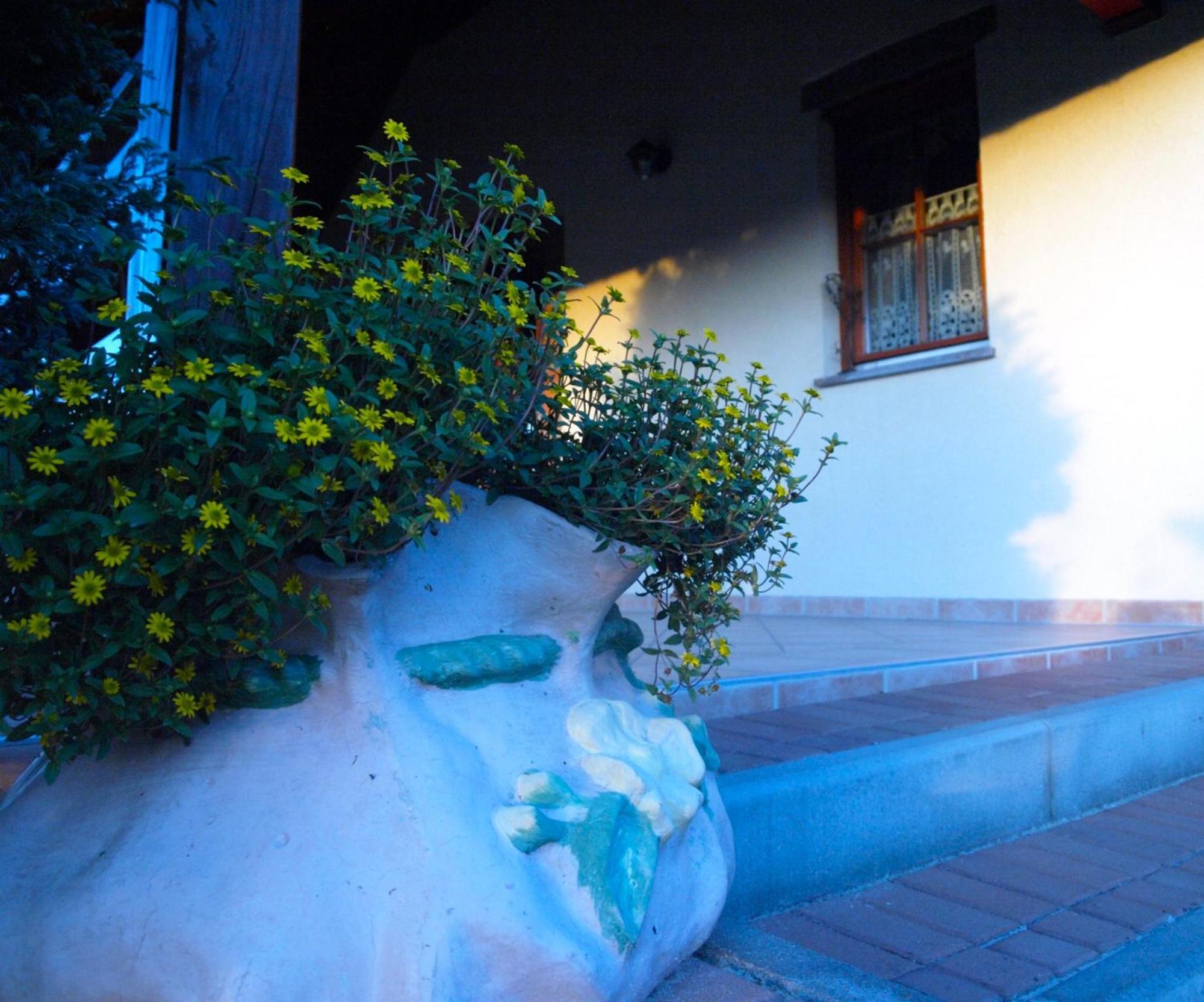 Holiday Home Vitis Selnica エクステリア 写真